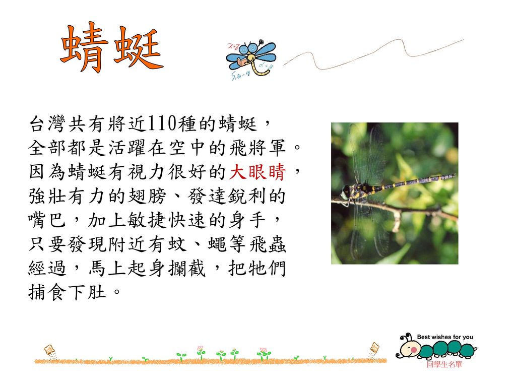 蜻蜓 台灣共有將近110種的蜻蜓，全部都是活躍在空中的飛將軍。因為蜻蜓有視力很好的大眼睛，強壯有力的翅膀、發達銳利的嘴巴，加上敏捷快速的身手，只要發現附近有蚊、蠅等飛蟲經過，馬上起身攔截，把牠們捕食下肚。