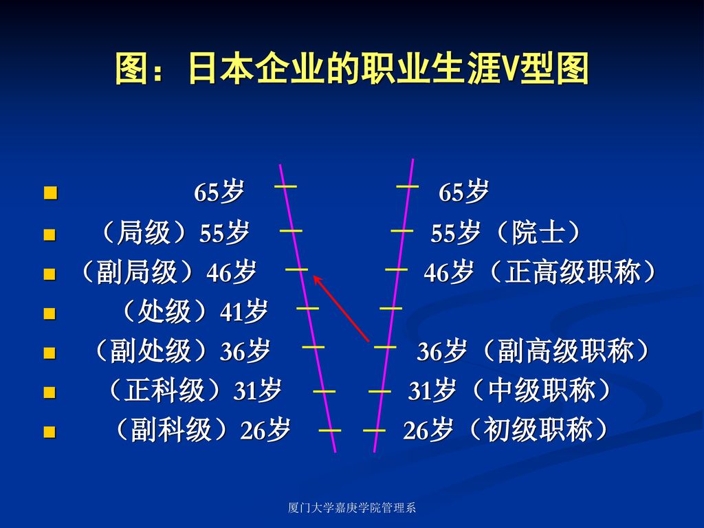 图：日本企业的职业生涯V型图 65岁 65岁 （局级）55岁 55岁（院士） （副局级）46岁 46岁（正高级职称） （处级）41岁
