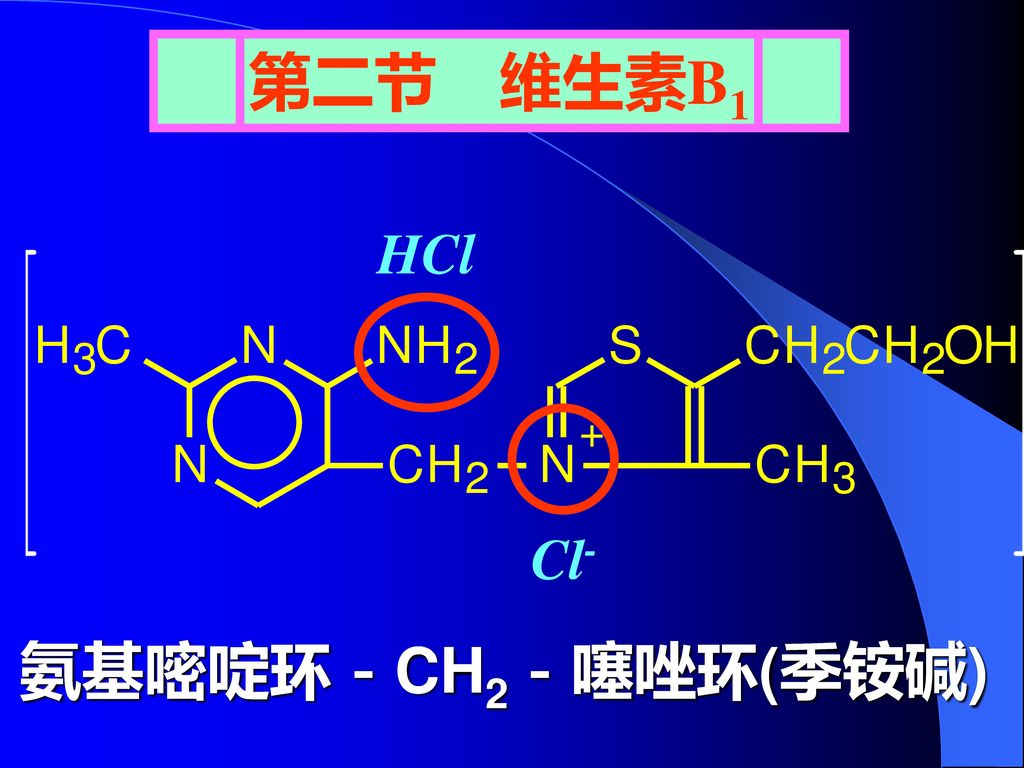第二节 维生素B1 HCl Cl- 氨基嘧啶环－CH2－噻唑环(季铵碱)