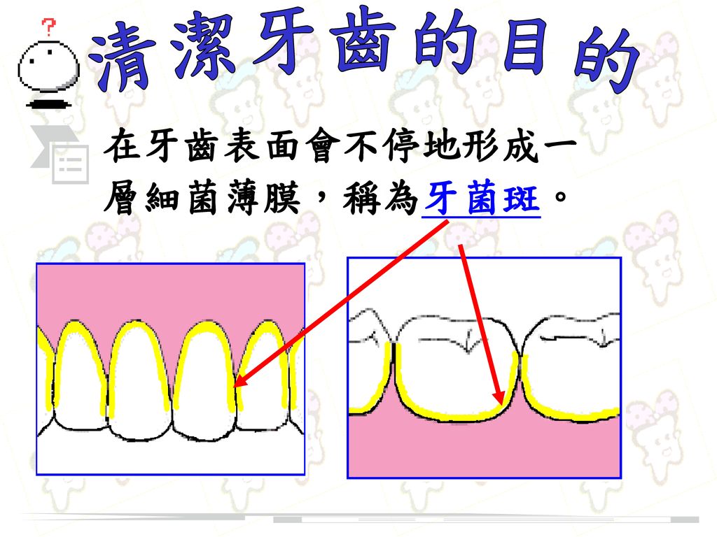 清潔牙齒的目的 在牙齒表面會不停地形成一 層細菌薄膜，稱為牙菌斑。