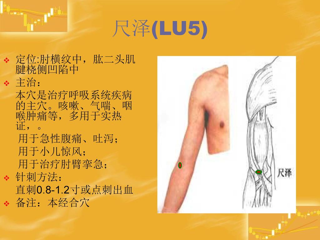 尺泽(LU5) 定位:肘横纹中，肱二头肌腱桡侧凹陷中 主治： 本穴是治疗呼吸系统疾病的主穴。咳嗽、气喘、咽喉肿痛等，多用于实热证，。