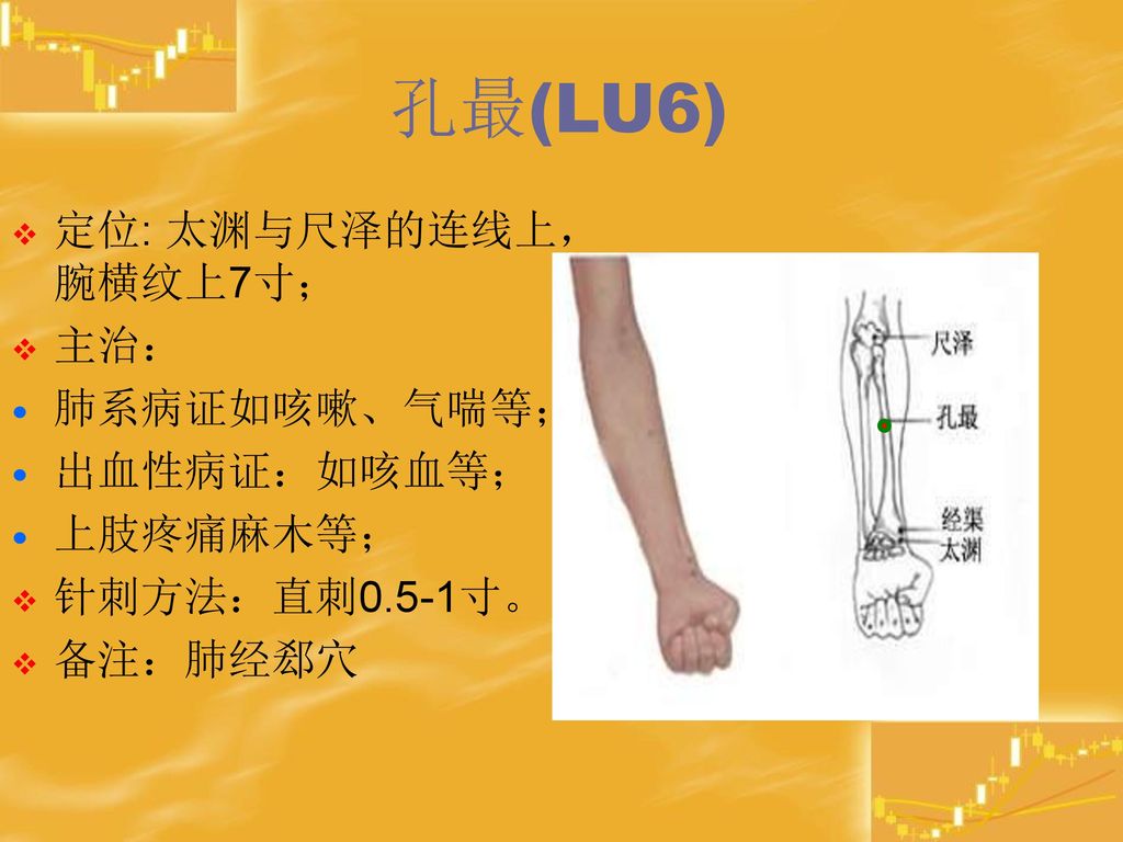 孔最(LU6) 定位: 太渊与尺泽的连线上，腕横纹上7寸； 主治： 肺系病证如咳嗽、气喘等； 出血性病证：如咳血等； 上肢疼痛麻木等；