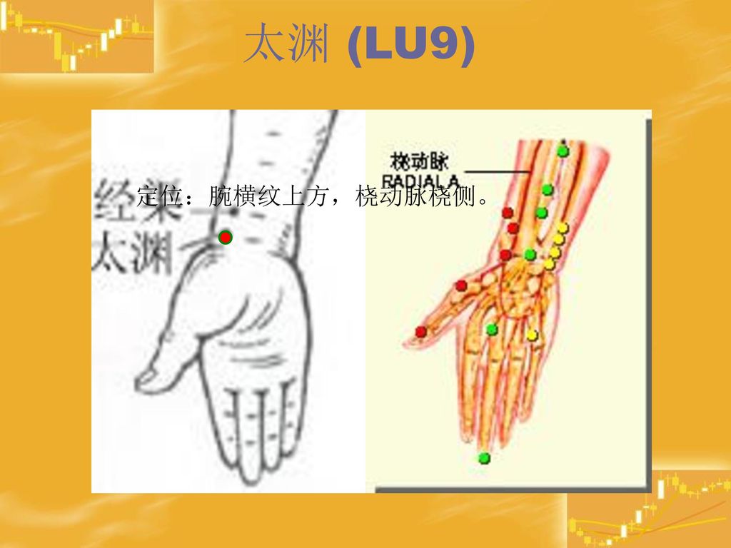 太渊 (LU9) 定位：腕横纹上方，桡动脉桡侧。