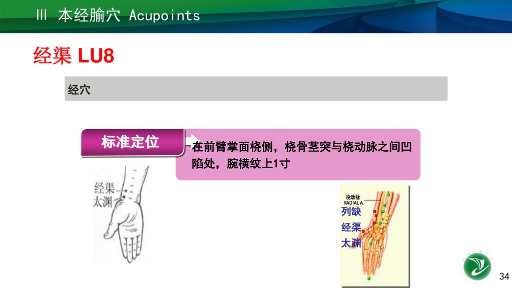 经渠 LU8 Ⅲ 本经腧穴 Acupoints 标准定位 经穴 在前臂掌面桡侧，桡骨茎突与桡动脉之间凹陷处，腕横纹上1寸 列缺 经渠 太渊