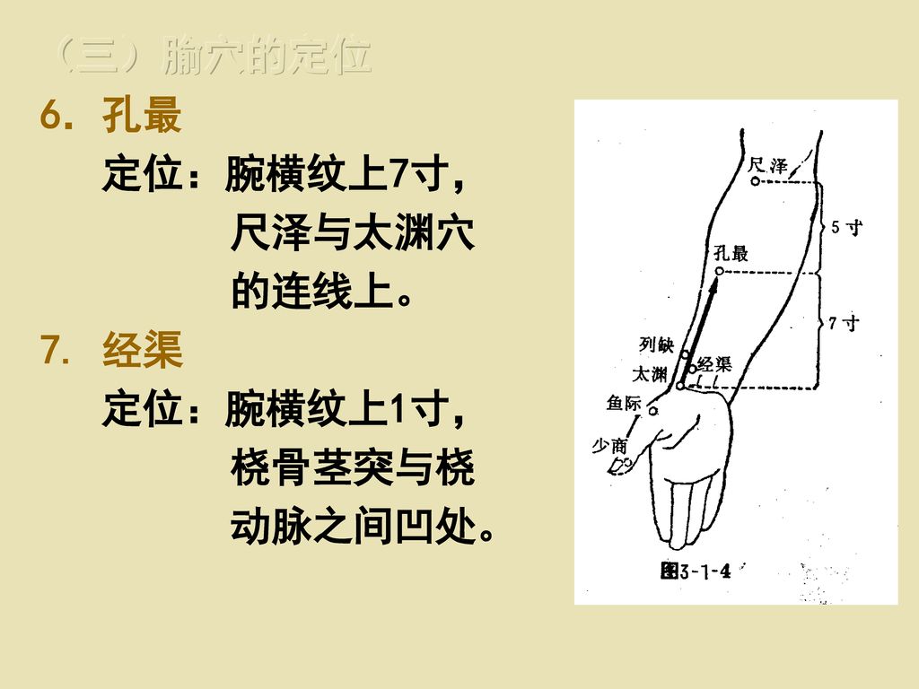 （三）腧穴的定位 6．孔最 定位：腕横纹上7寸， 尺泽与太渊穴 的连线上。 7. 经渠 定位：腕横纹上1寸， 桡骨茎突与桡 动脉之间凹处。