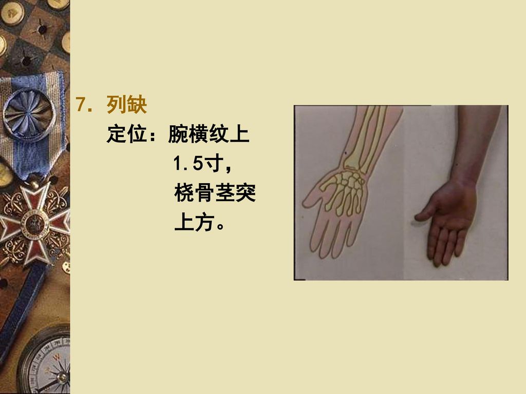 7．列缺 定位：腕横纹上 1.5寸， 桡骨茎突 上方。