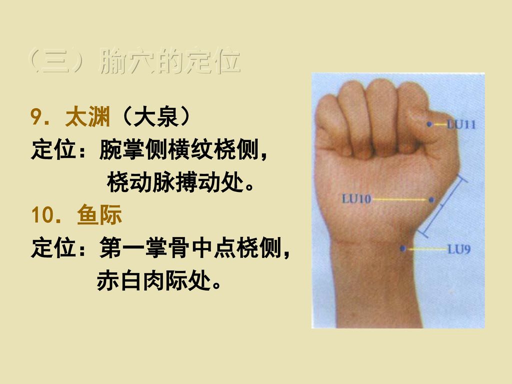 9．太渊（大泉） 定位：腕掌侧横纹桡侧， 桡动脉搏动处。 10．鱼际 定位：第一掌骨中点桡侧， 赤白肉际处。 （三）腧穴的定位