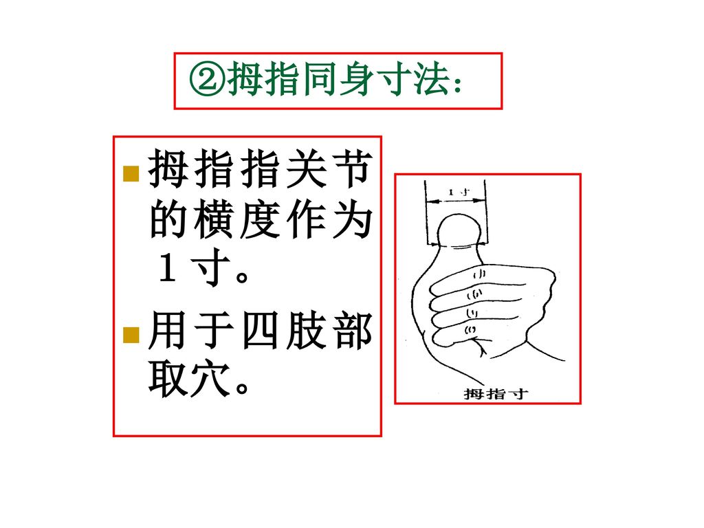 ②拇指同身寸法： 拇指指关节的横度作为１寸。 用于四肢部取穴。