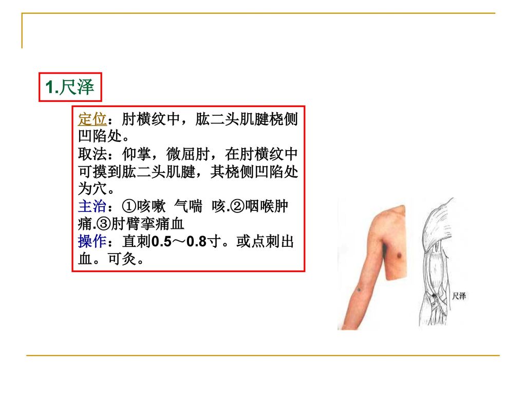 1.尺泽 定位：肘横纹中，肱二头肌腱桡侧凹陷处。 取法：仰掌，微屈肘，在肘横纹中可摸到肱二头肌腱，其桡侧凹陷处为穴。