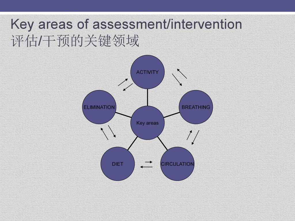 Key areas of assessment/intervention 评估/干预的关键领域