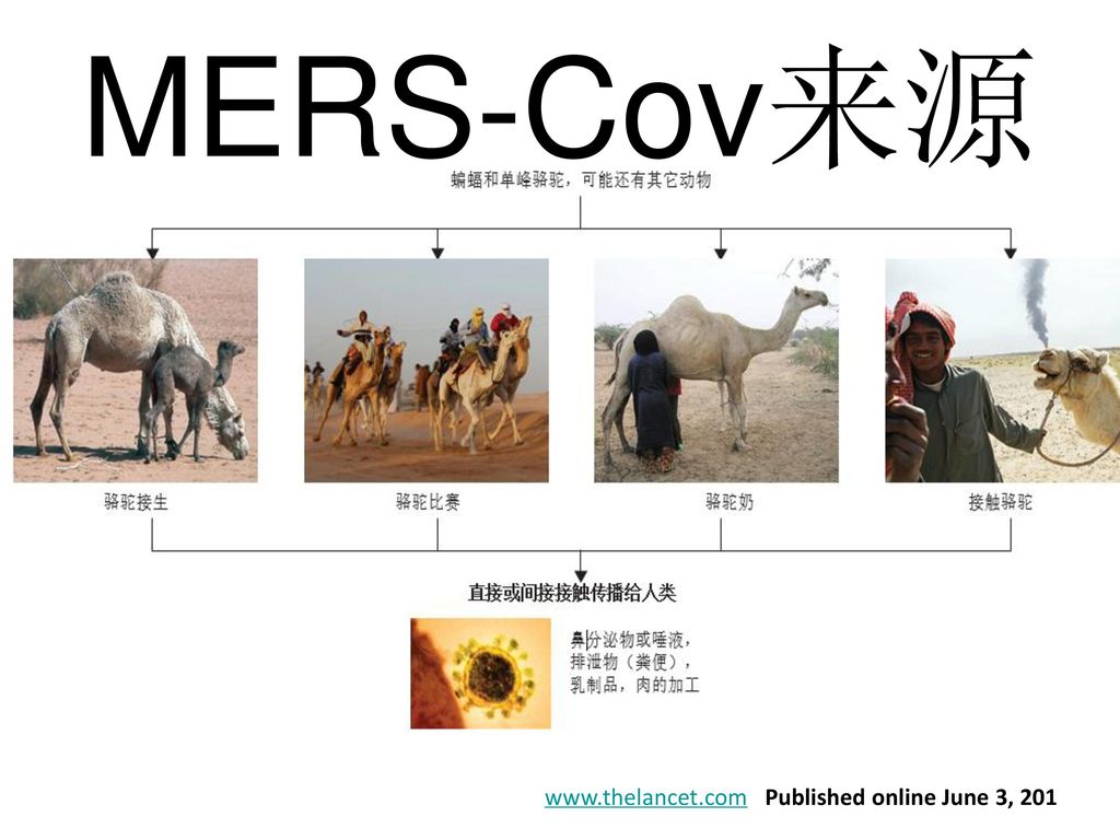 MERS-Cov来源   Published online June 3, 201