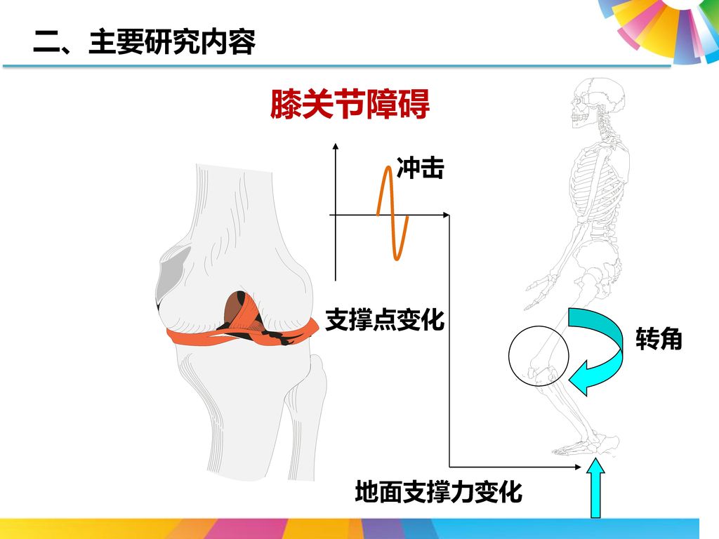 二、主要研究内容 膝关节障碍 冲击 支撑点变化 转角 地面支撑力变化