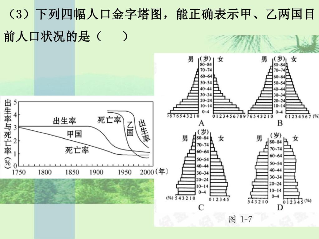（3）下列四幅人口金字塔图，能正确表示甲、乙两国目前人口状况的是（ ）