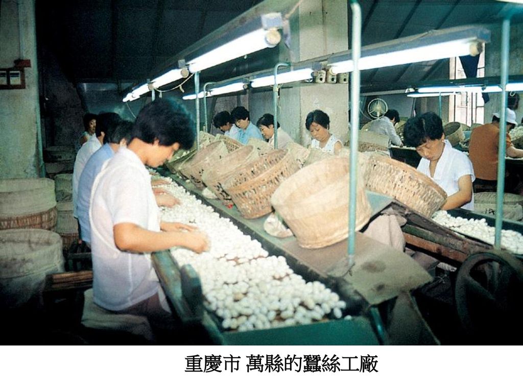 重慶市 萬縣的蠶絲工廠