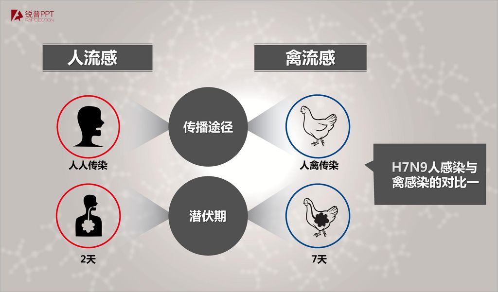 人流感 禽流感 传播途径 H7N9人感染与 禽感染的对比一 人人传染 人禽传染 潜伏期 2天 7天