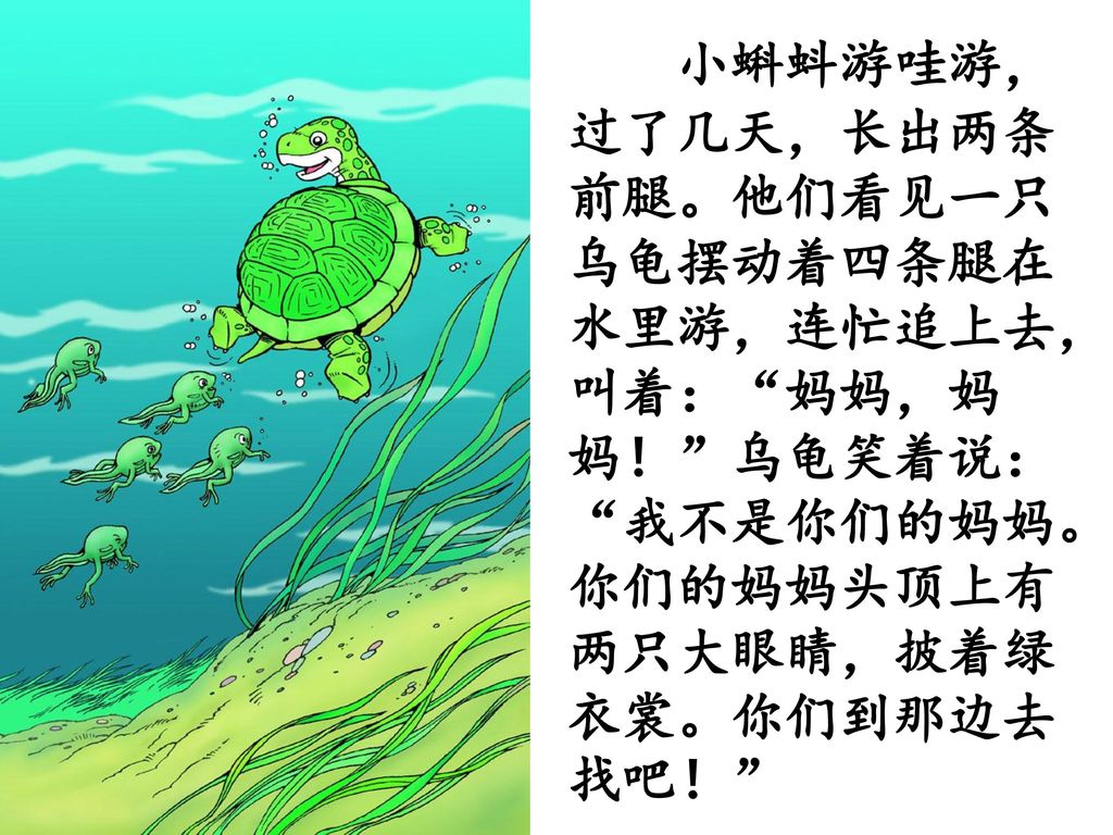 小蝌蚪游哇游，过了几天，长出两条前腿。他们看见一只乌龟摆动着四条腿在水里游，连忙追上去，叫着： 妈妈，妈妈！ 乌龟笑着说： 我不是你们的妈妈。你们的妈妈头顶上有两只大眼睛，披着绿衣裳。你们到那边去找吧！