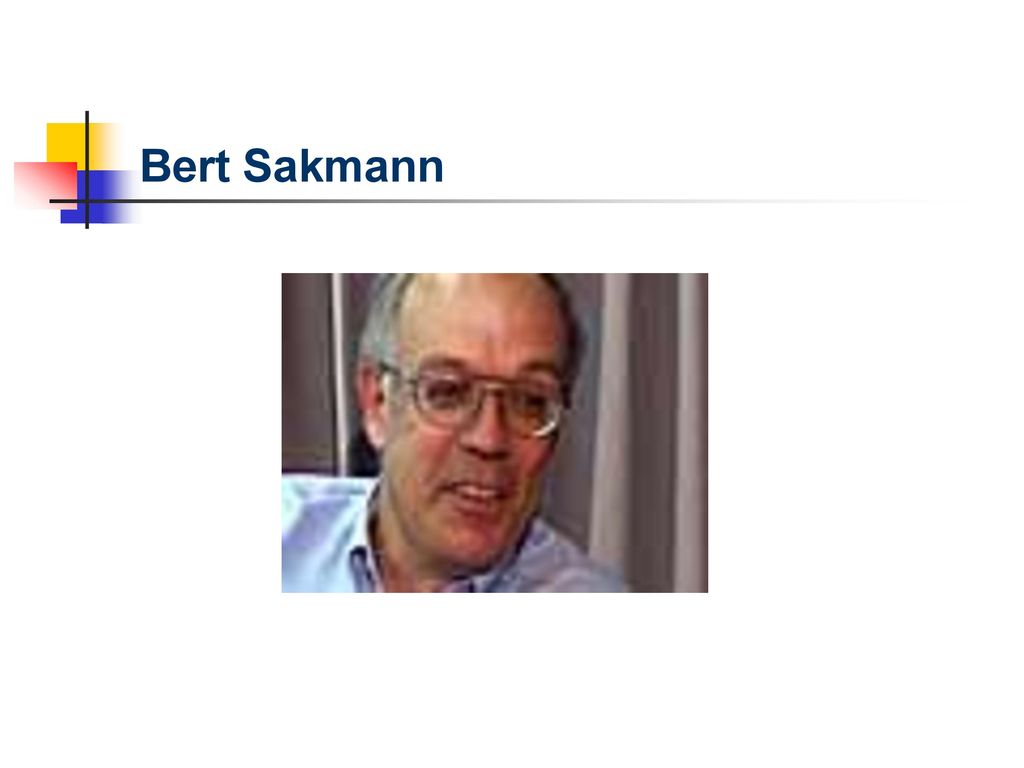 Bert Sakmann