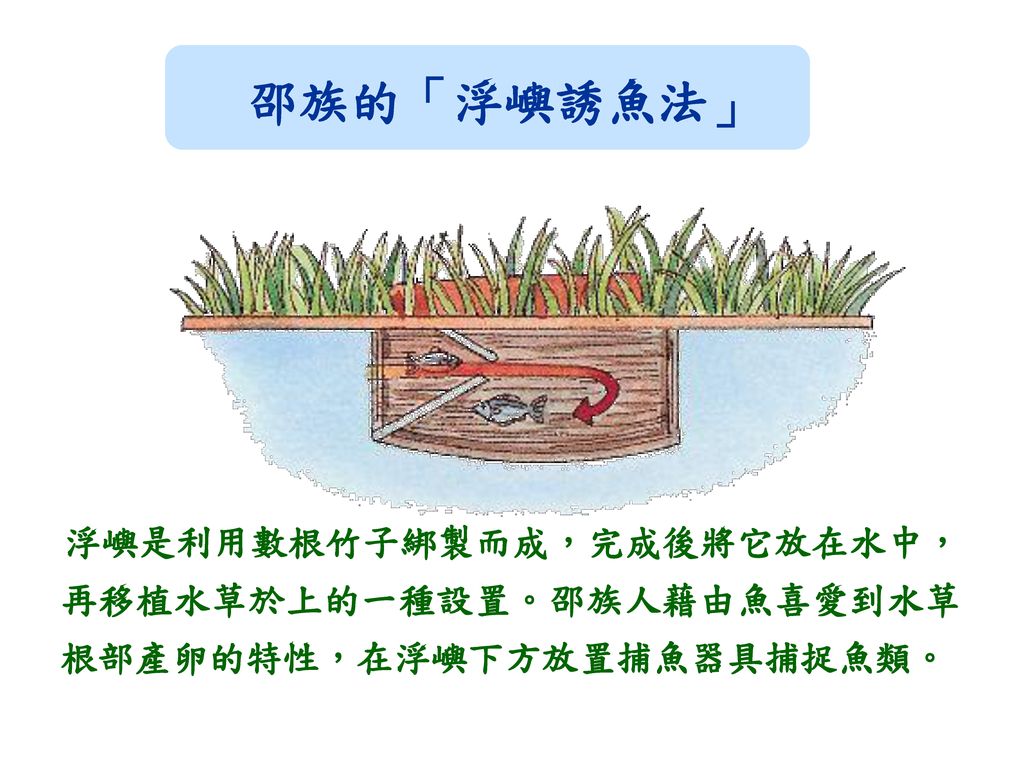 邵族的「浮嶼誘魚法」 浮嶼是利用數根竹子綁製而成，完成後將它放在水中，再移植水草於上的一種設置。邵族人藉由魚喜愛到水草根部產卵的特性，在浮嶼下方放置捕魚器具捕捉魚類。