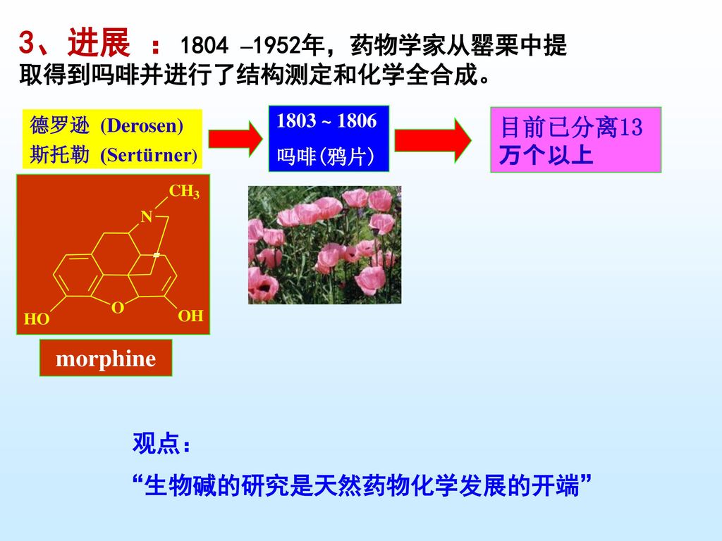 3、进展 ：1804 –1952年，药物学家从罂栗中提取得到吗啡并进行了结构测定和化学全合成。