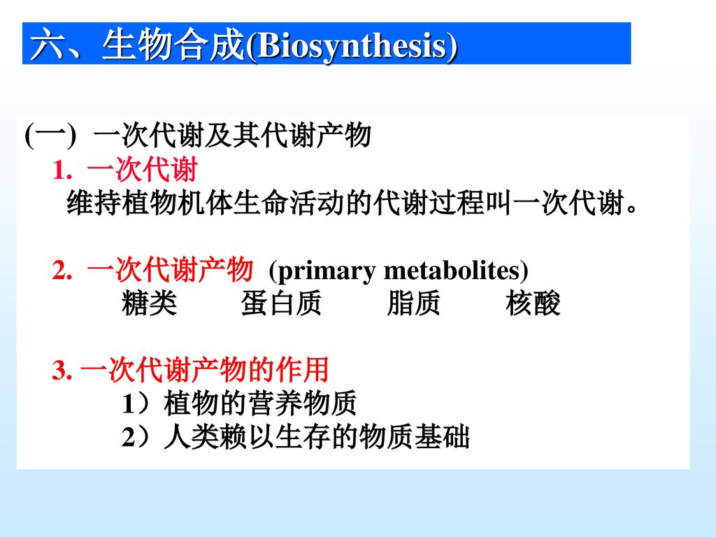 六、生物合成(Biosynthesis)