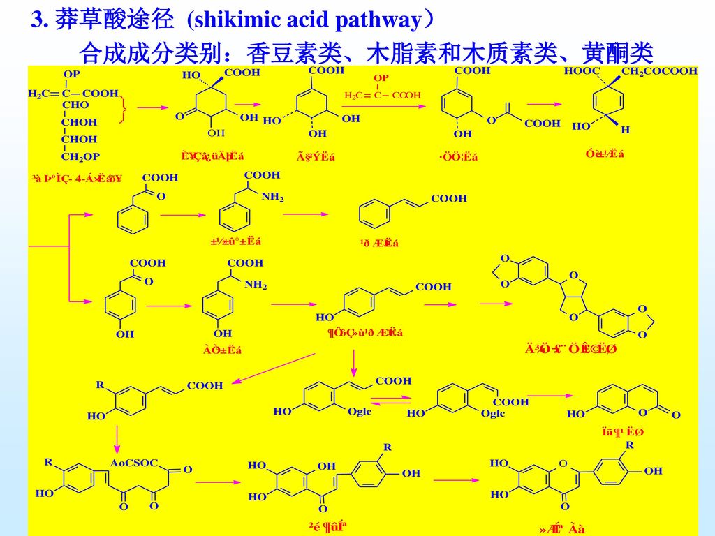 3. 莽草酸途径 (shikimic acid pathway） 合成成分类别：香豆素类、木脂素和木质素类、黄酮类