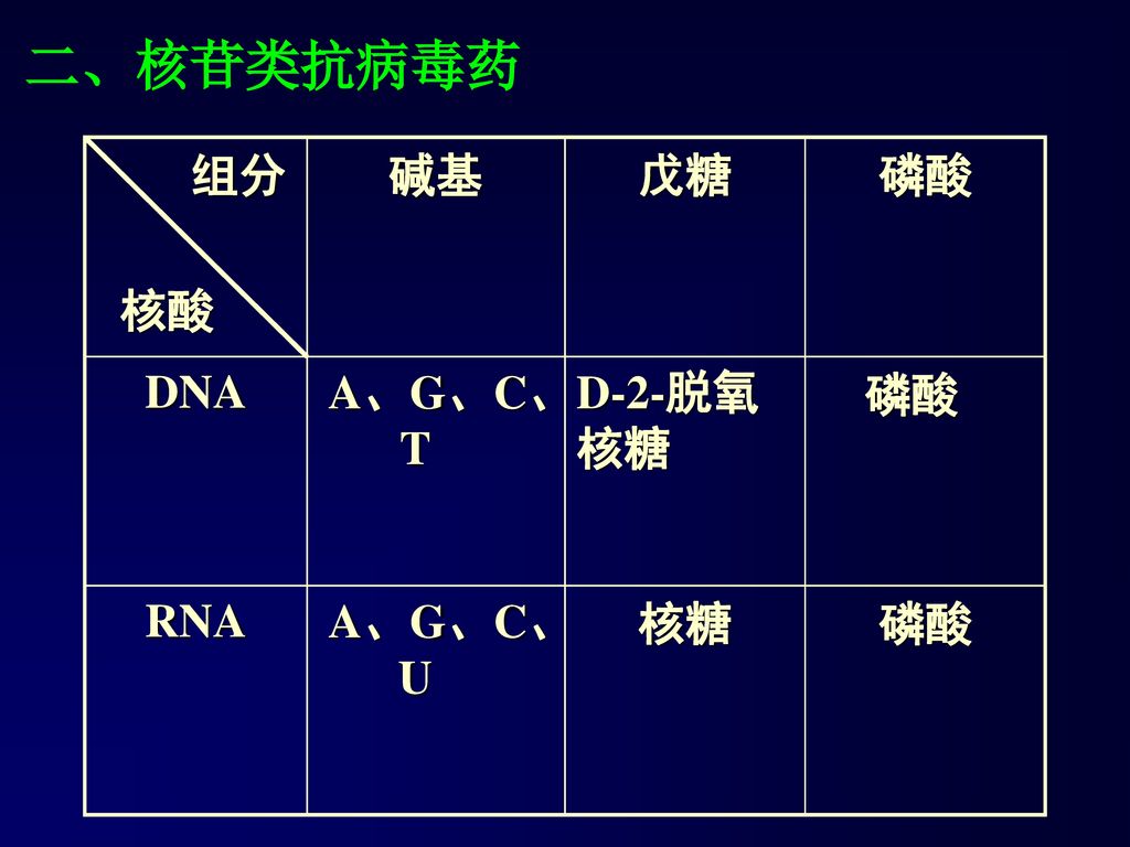 二、核苷类抗病毒药 组分 核酸 碱基 戊糖 磷酸 DNA A、G、C、T D-2-脱氧核糖 RNA A、G、C、U 核糖