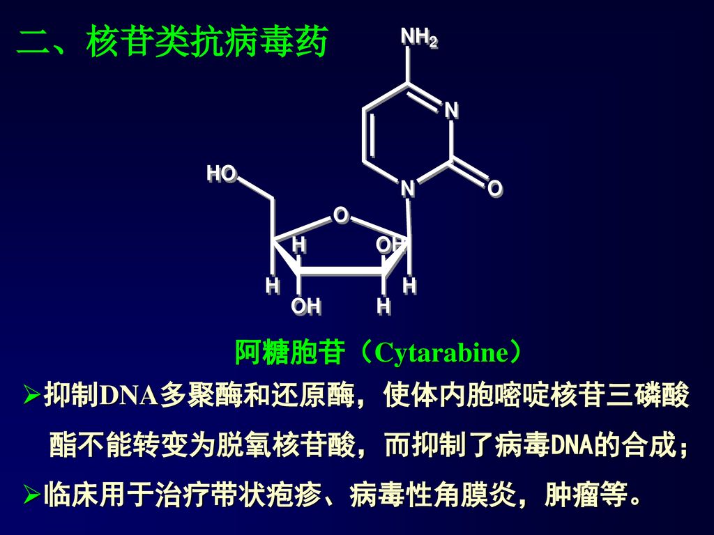 二、核苷类抗病毒药 阿糖胞苷（Cytarabine） 抑制DNA多聚酶和还原酶，使体内胞嘧啶核苷三磷酸