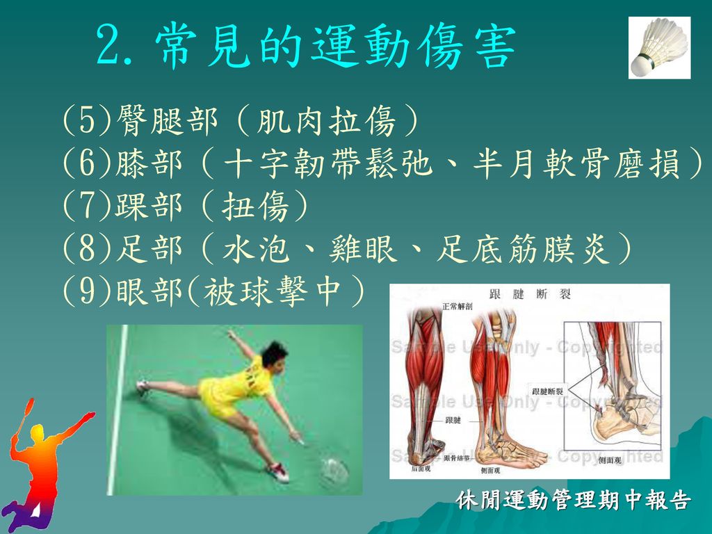 2.常見的運動傷害 (5)臀腿部（肌肉拉傷） (6)膝部（十字韌帶鬆弛、半月軟骨磨損） (7)踝部（扭傷)
