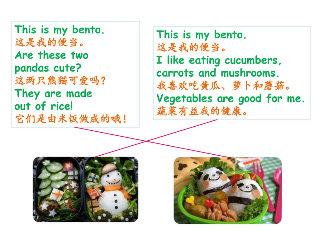 This is my bento. 这是我的便当。 Are these two. pandas cute 这两只熊猫可爱吗？ They are made. out of rice! 它们是由米饭做成的哦！