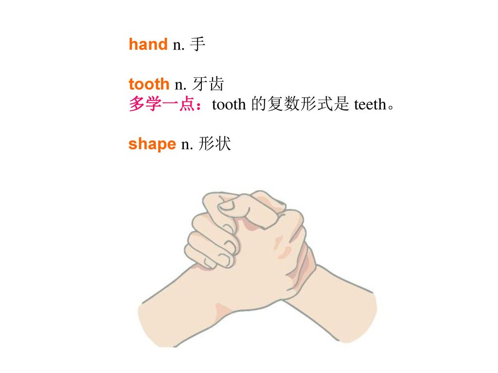 . 手 tooth n. 牙齿 多学一点:tooth 的复数形式是