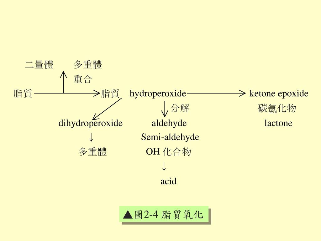 ▲圖2-4 脂質氧化