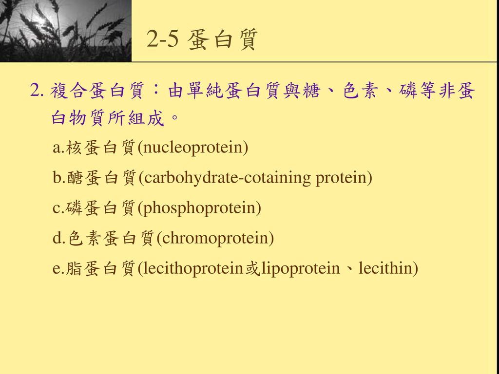 2-5 蛋白質 2. 複合蛋白質：由單純蛋白質與糖、色素、磷等非蛋白物質所組成。 a.核蛋白質(nucleoprotein)