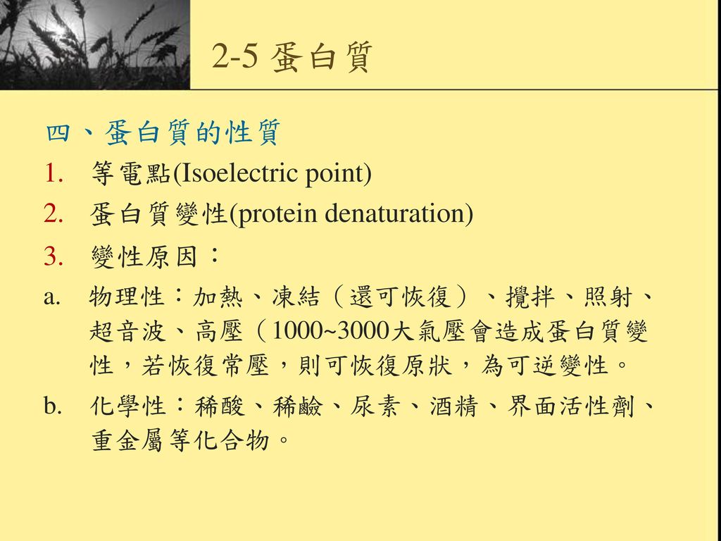 2-5 蛋白質 四、蛋白質的性質 等電點(Isoelectric point) 蛋白質變性(protein denaturation)