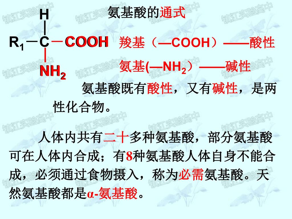 H — R1－C－COOH COOH NH2 NH2 氨基酸的通式 羧基（—COOH）——酸性 氨基(—NH2）——碱性
