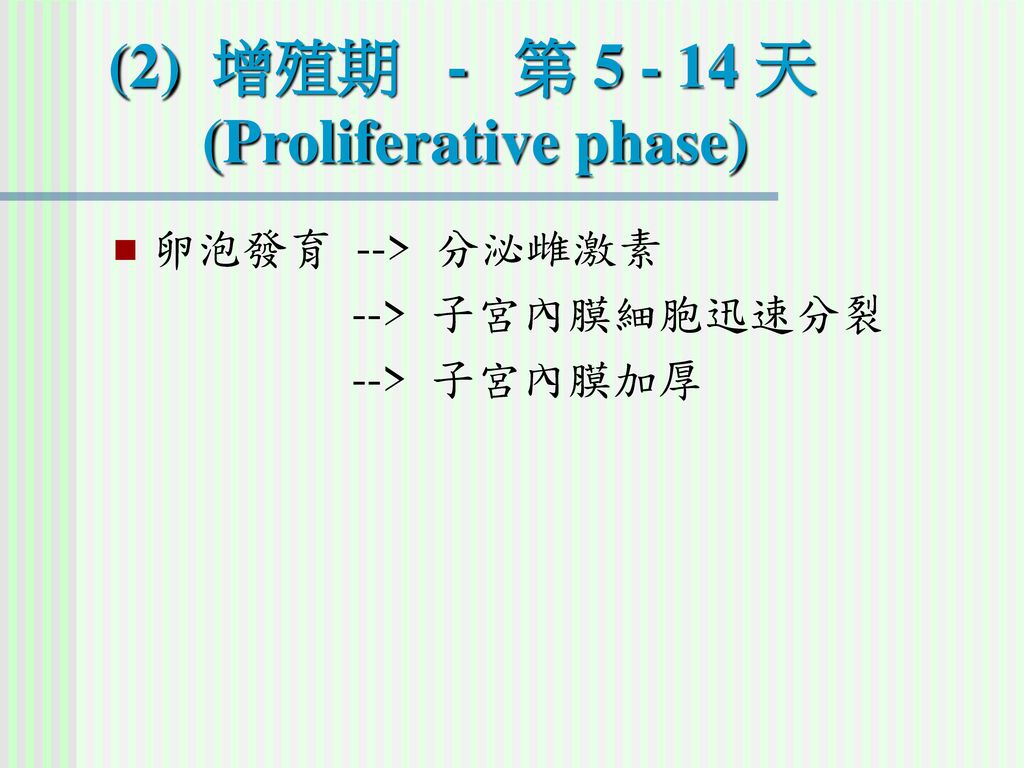 (2) 增殖期 - 第 天 (Proliferative phase)