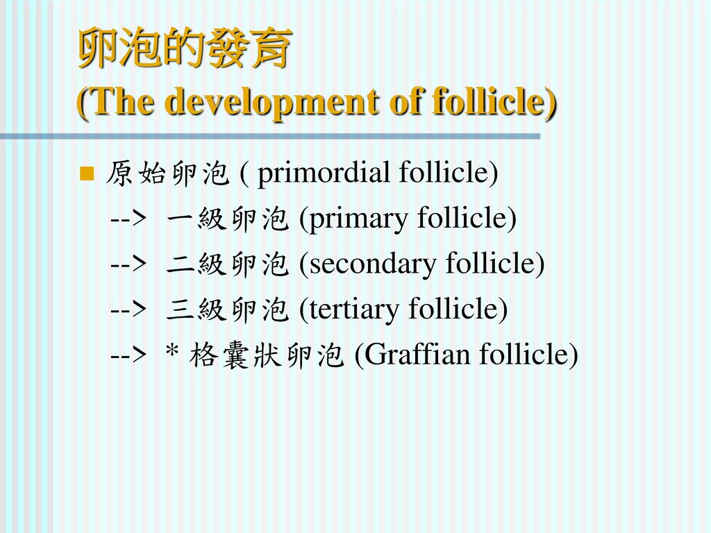 卵泡的發育 (The development of follicle)