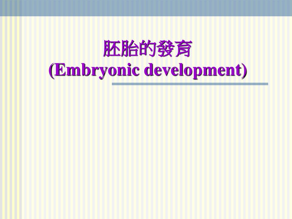 胚胎的發育 (Embryonic development)