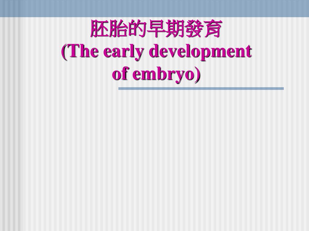 胚胎的早期發育 (The early development of embryo)
