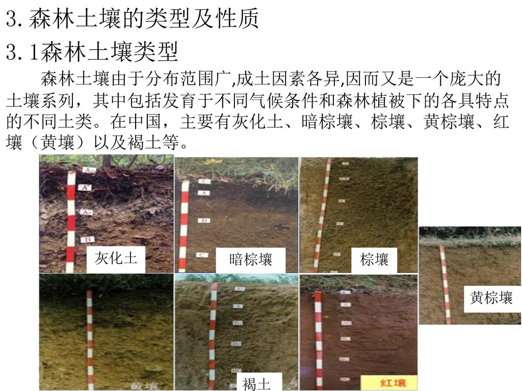 3.森林土壤的类型及性质 3.1森林土壤类型. 森林土壤由于分布范围广,成土因素各异,因而又是一个庞大的土壤系列，其中包括发育于不同气候条件和森林植被下的各具特点的不同土类。在中国，主要有灰化土、暗棕壤、棕壤、黄棕壤、红壤（黄壤）以及褐土等。