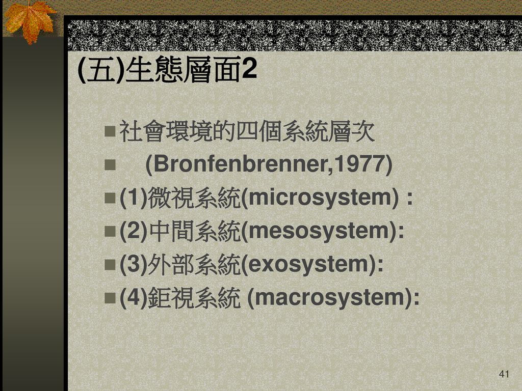 (五)生態層面2 社會環境的四個系統層次 (Bronfenbrenner,1977) (1)微視系統(microsystem) :