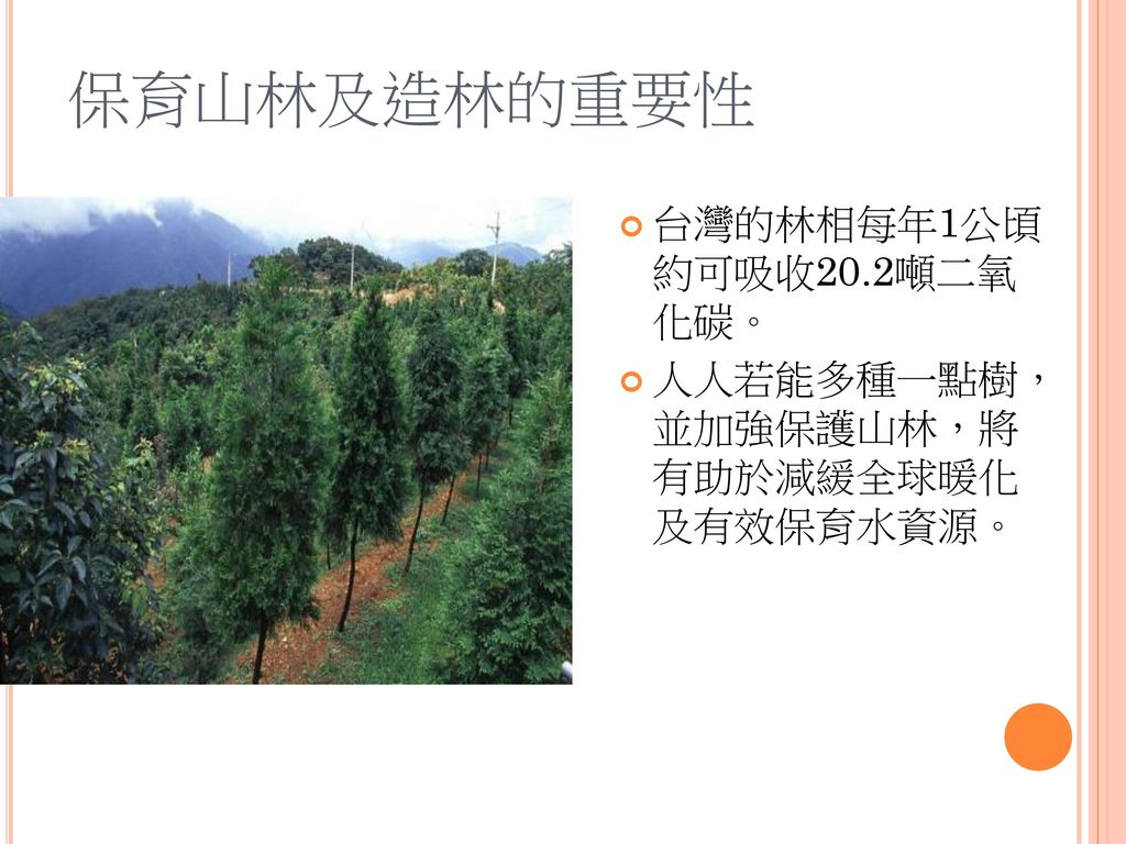 保育山林及造林的重要性 台灣的林相每年1公頃 約可吸收20.2噸二氧 化碳。