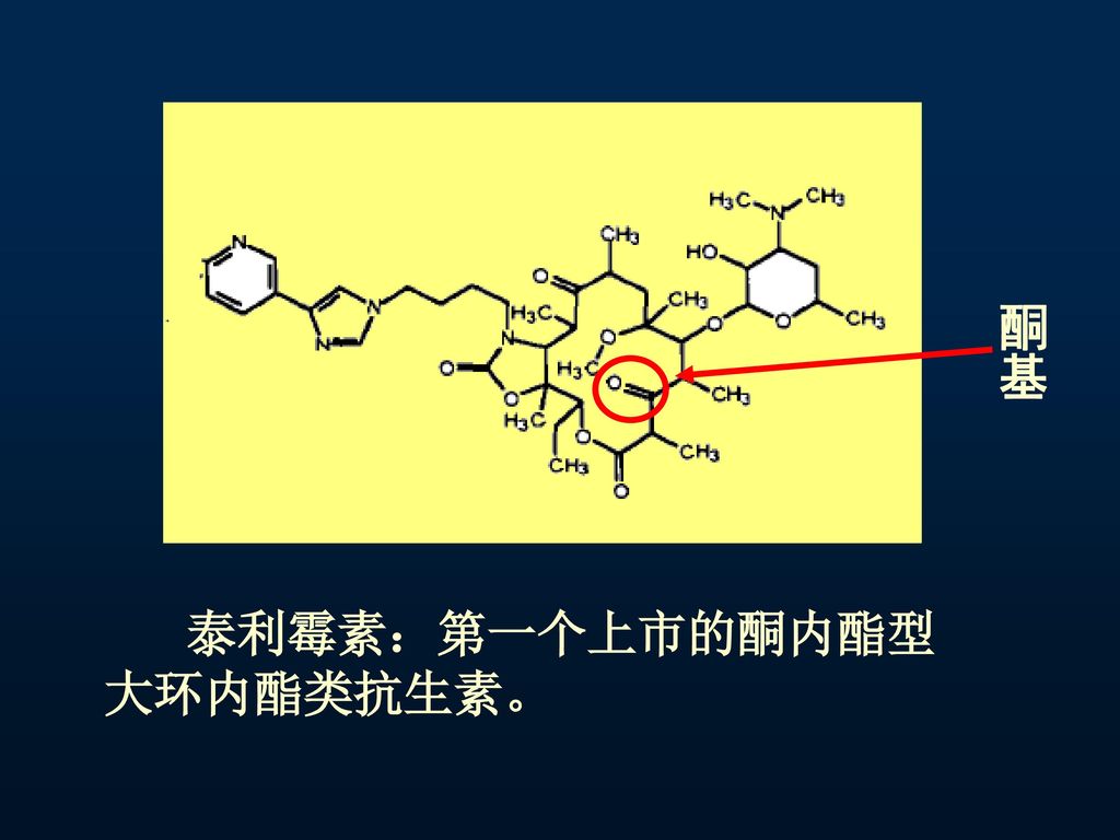 酮基 泰利霉素：第一个上市的酮内酯型大环内酯类抗生素。