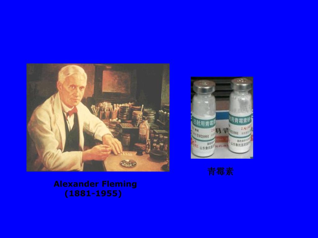 青霉素 Alexander Fleming ( )