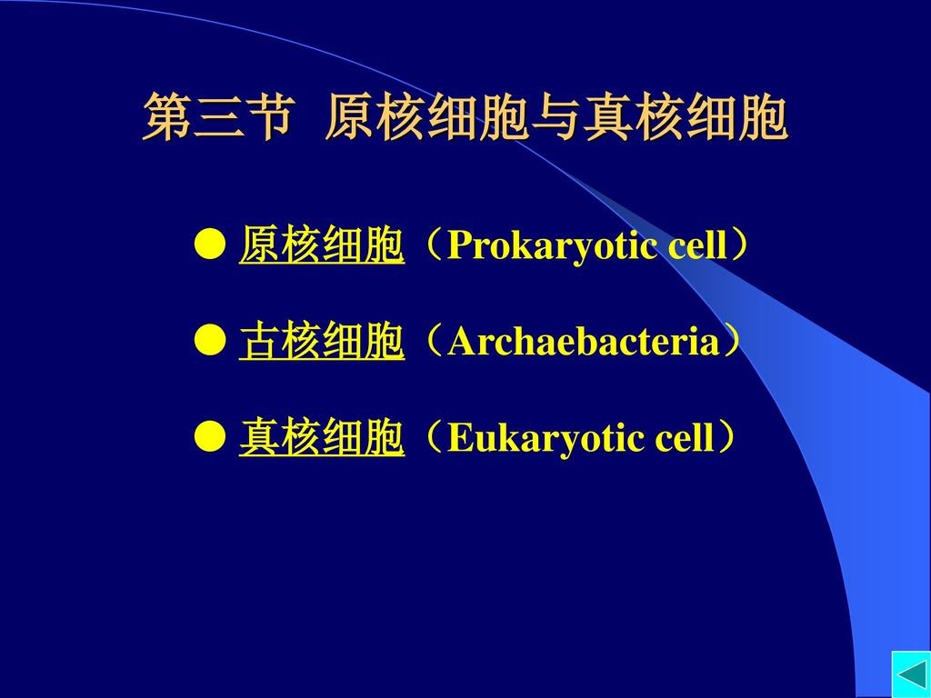 第三节 原核细胞与真核细胞  原核细胞（Prokaryotic cell）  古核细胞（Archaebacteria）