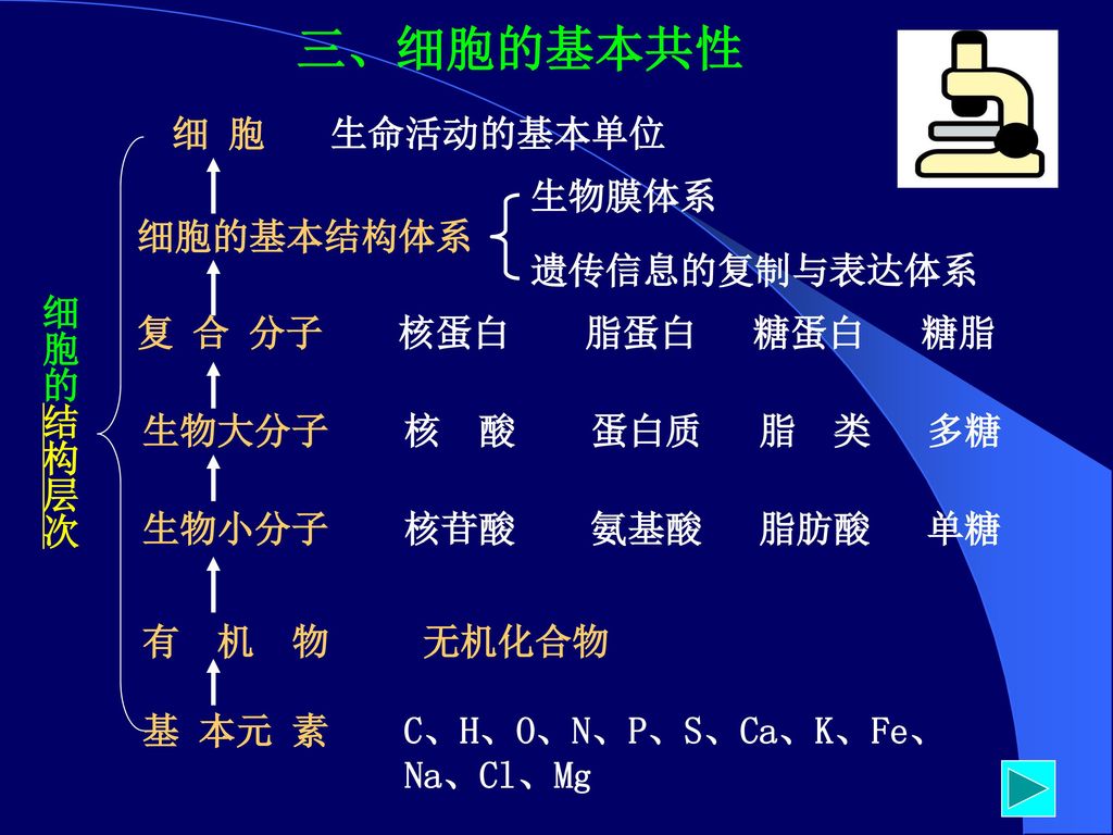 有 机 物 无机化合物 基 本元 素 C、H、O、N、P、S、Ca、K、Fe、 Na、Cl、Mg