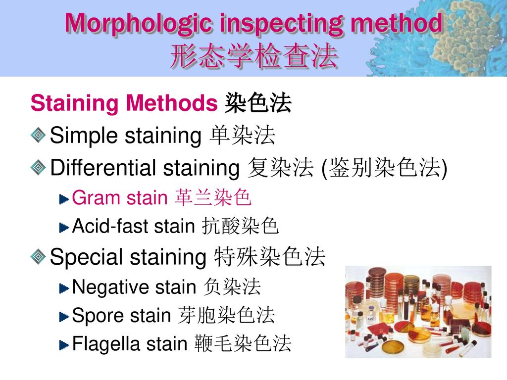Morphologic inspecting method 形态学检查法