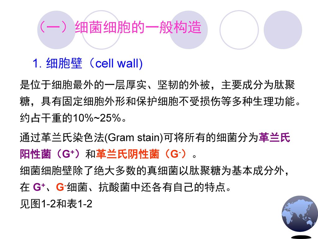 （一）细菌细胞的一般构造 1. 细胞壁（cell wall)