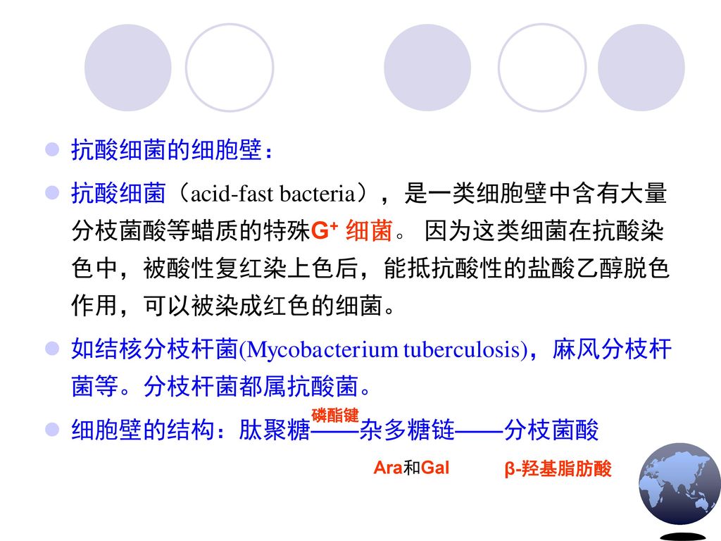 如结核分枝杆菌(Mycobacterium tuberculosis)，麻风分枝杆菌等。分枝杆菌都属抗酸菌。