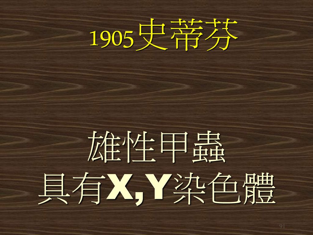 1905史蒂芬 雄性甲蟲 具有X,Y染色體