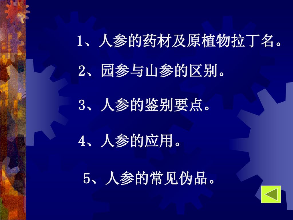 人参radix Gingshen 教学重点历史传说来源植物形态生药性状园参山参显微特征主要成分理化鉴定品质评价 Ppt Download